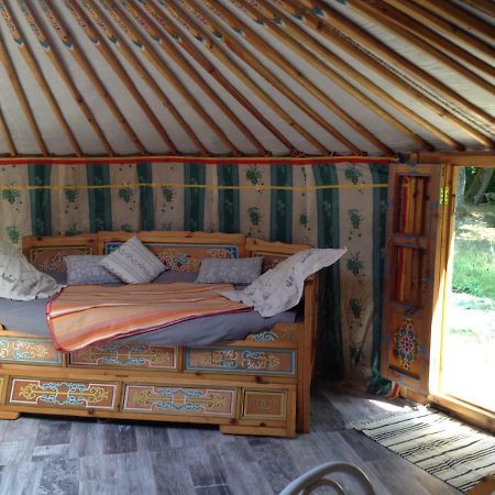 Yourte Mongole Du Centre Unisvers Peyrat-le-Château Exteriör bild